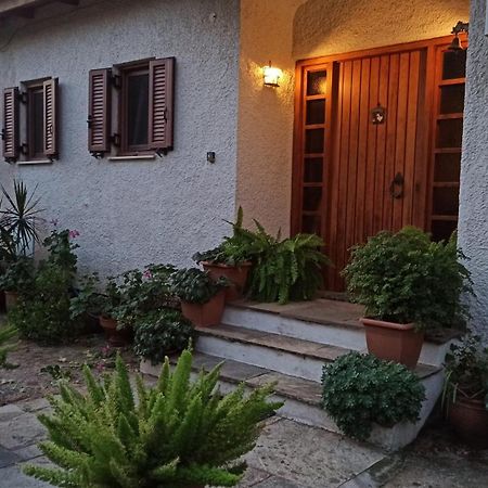 Nafpaktos Cottage By The Sea For Travelers And Dreamers! Bagian luar foto