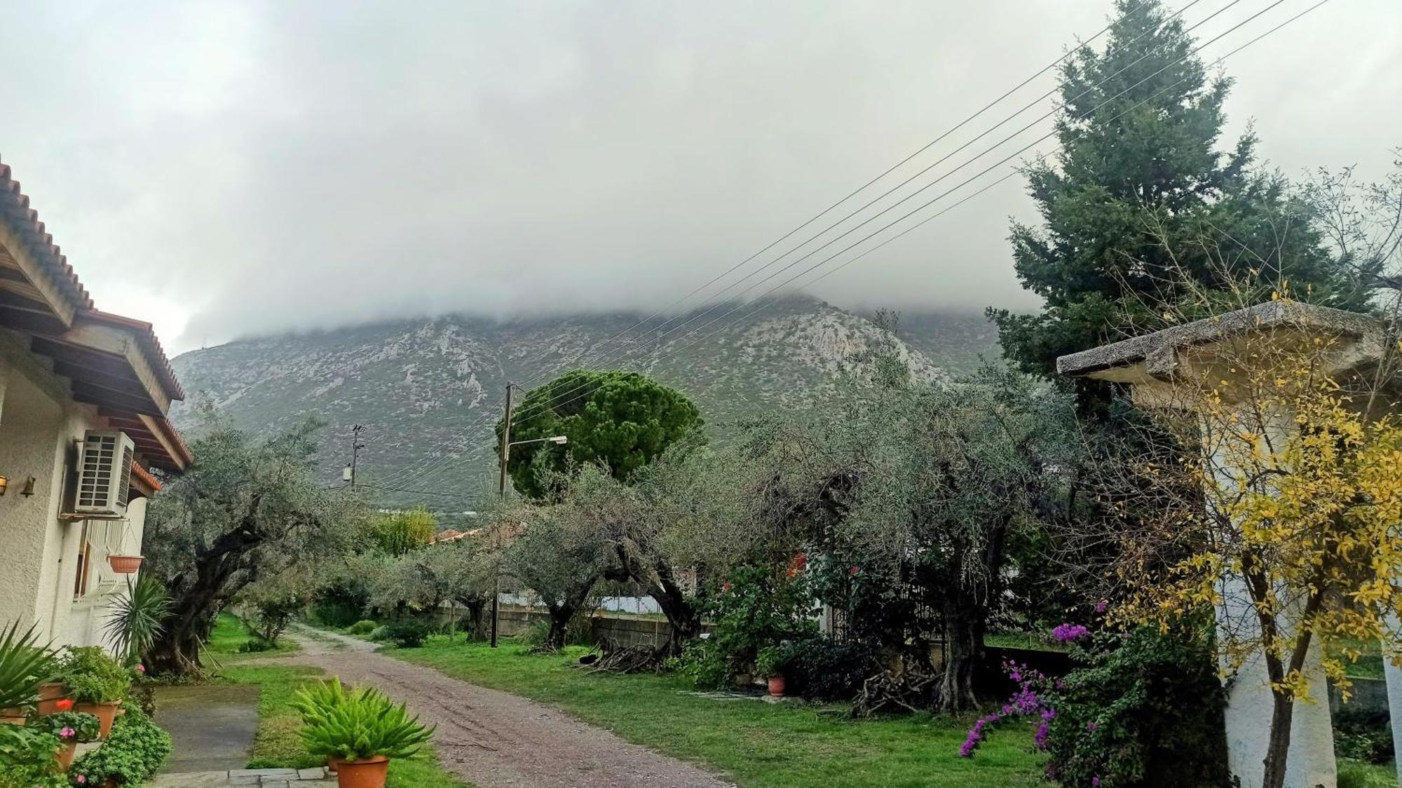 Nafpaktos Cottage By The Sea For Travelers And Dreamers! Bagian luar foto
