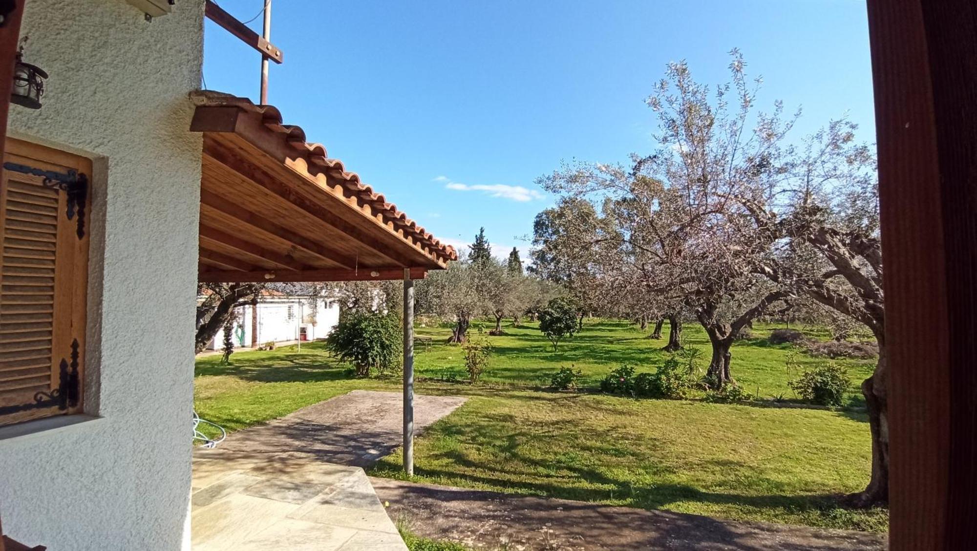 Nafpaktos Cottage By The Sea For Travelers And Dreamers! Bagian luar foto