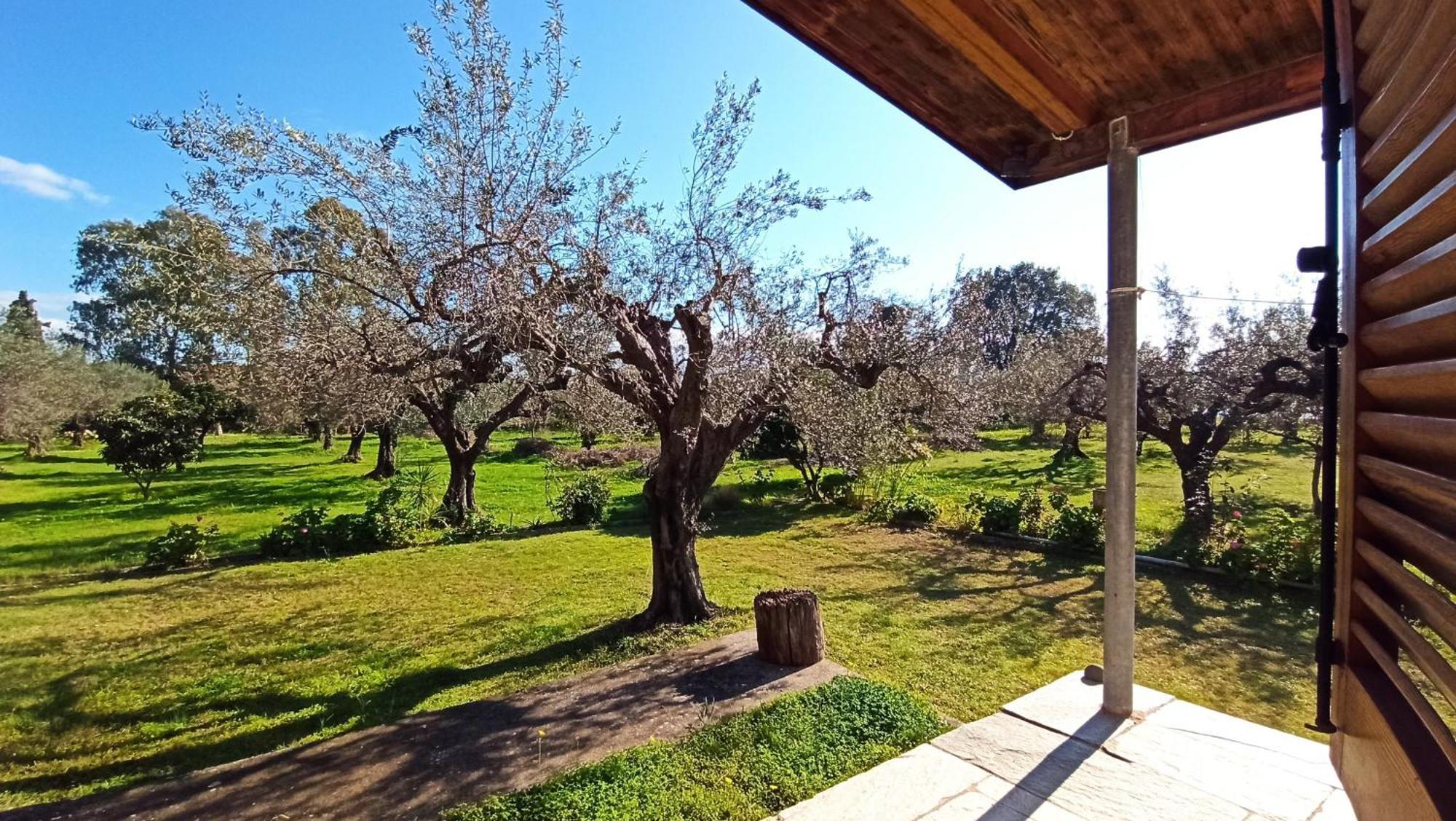 Nafpaktos Cottage By The Sea For Travelers And Dreamers! Bagian luar foto