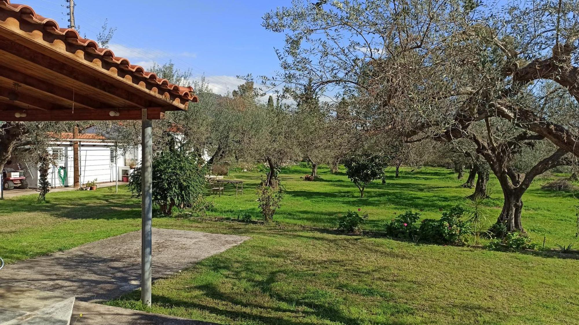Nafpaktos Cottage By The Sea For Travelers And Dreamers! Bagian luar foto