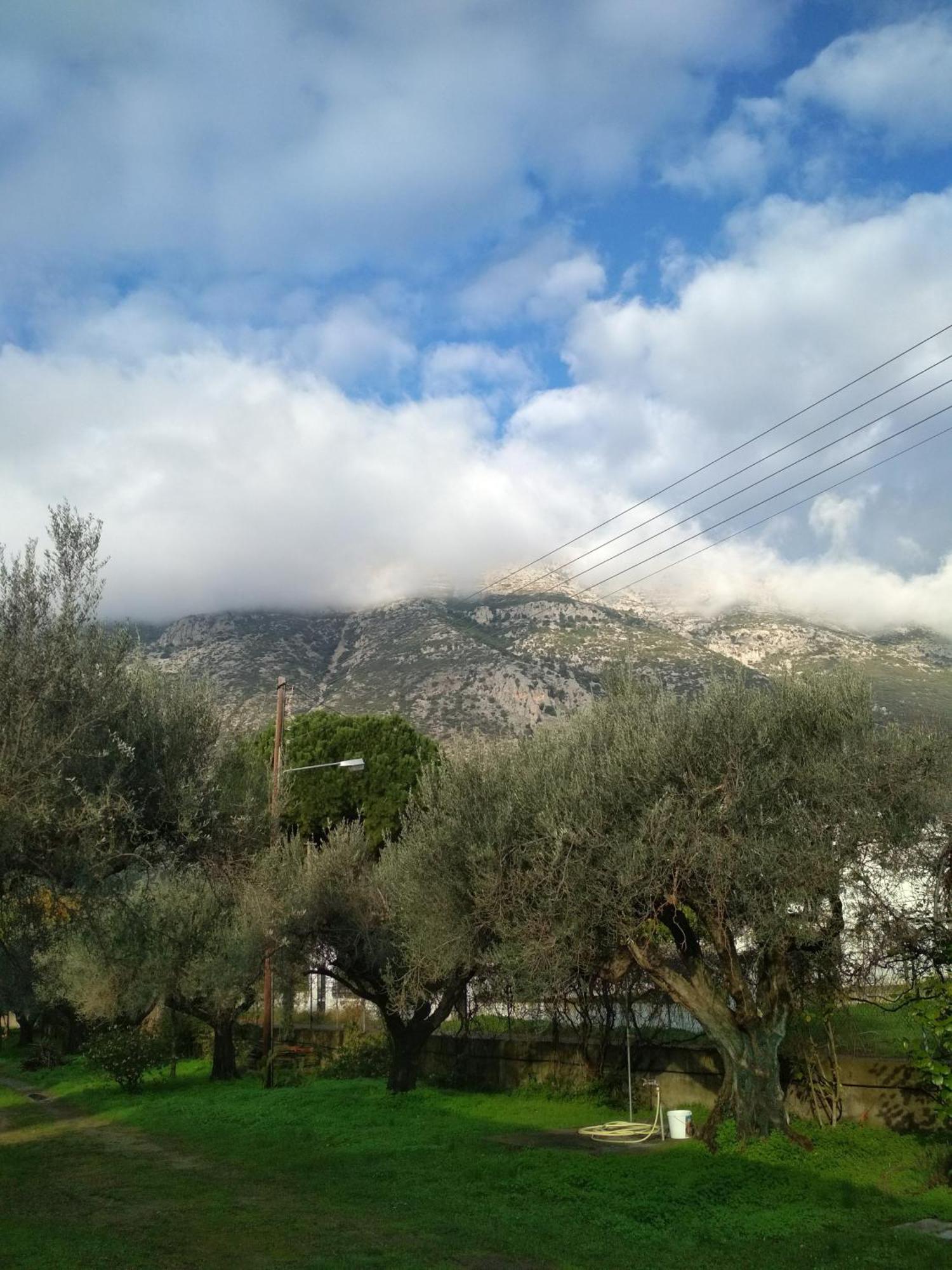 Nafpaktos Cottage By The Sea For Travelers And Dreamers! Bagian luar foto